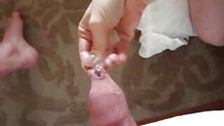 بکسوم سیکس پاٹ ٹفنی  ...